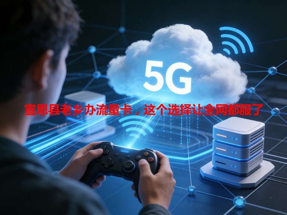 宣恩县老乡办流量卡，这个选择让全网都服了
