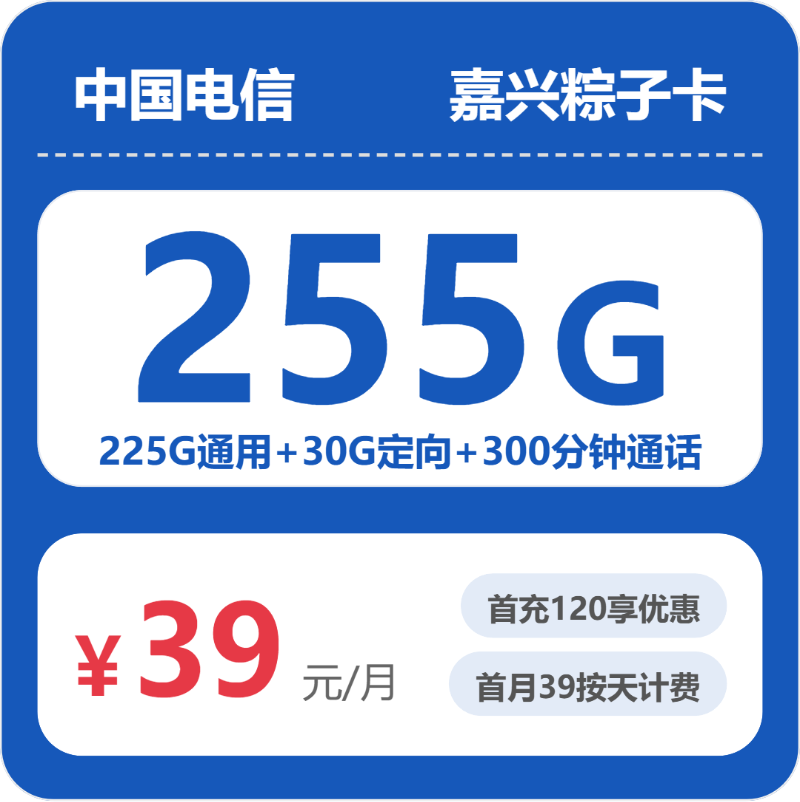 电信嘉兴粽子卡39元月租255G流量+300分钟通话-套餐资料及办理渠道