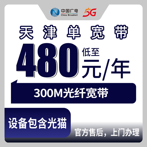 2026年10月下旬天津市武清区广电300M单宽带480包年怎么装？乡镇街道覆盖与办理流程实测
