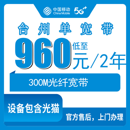 2026年10月下旬浙江省台州天台县装移动300M单宽带要多少钱？960包2年这事我替家里人跑了一遍