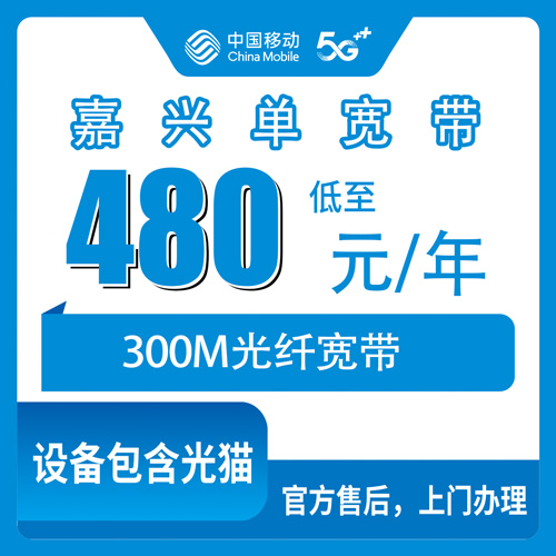 2026年10月下旬浙江省嘉兴南湖区移动单宽带480元包年300M怎么申请？本地师傅上门流程和踩坑记录