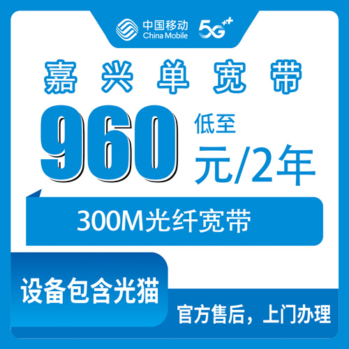 2026年10月下旬浙江省嘉兴海宁市移动单宽带300M怎么办？960元两年资费和上门安装流程说清楚