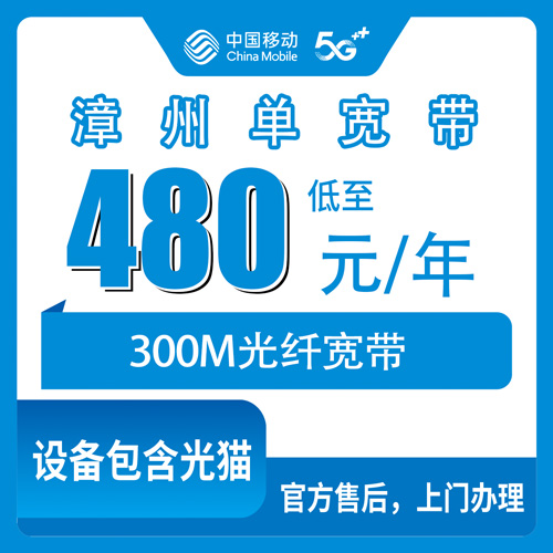 2026年10月下旬福建省漳州平和县移动300M单宽带480元包年，本地师傅上门怎么装？