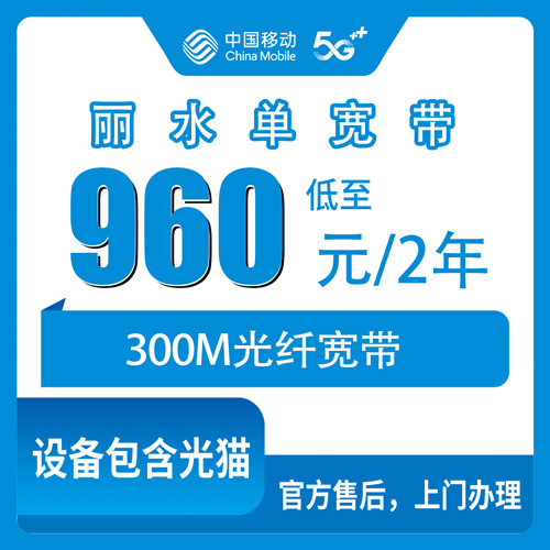 2026年10月丽水市移动单宽带办理申请全攻略与真实避坑经验