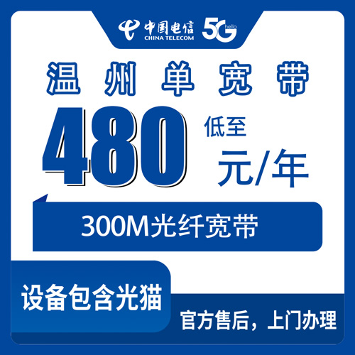 2026年11月上旬浙江省温州永嘉县电信单宽带300M怎么办？480元包年装之前先看这篇